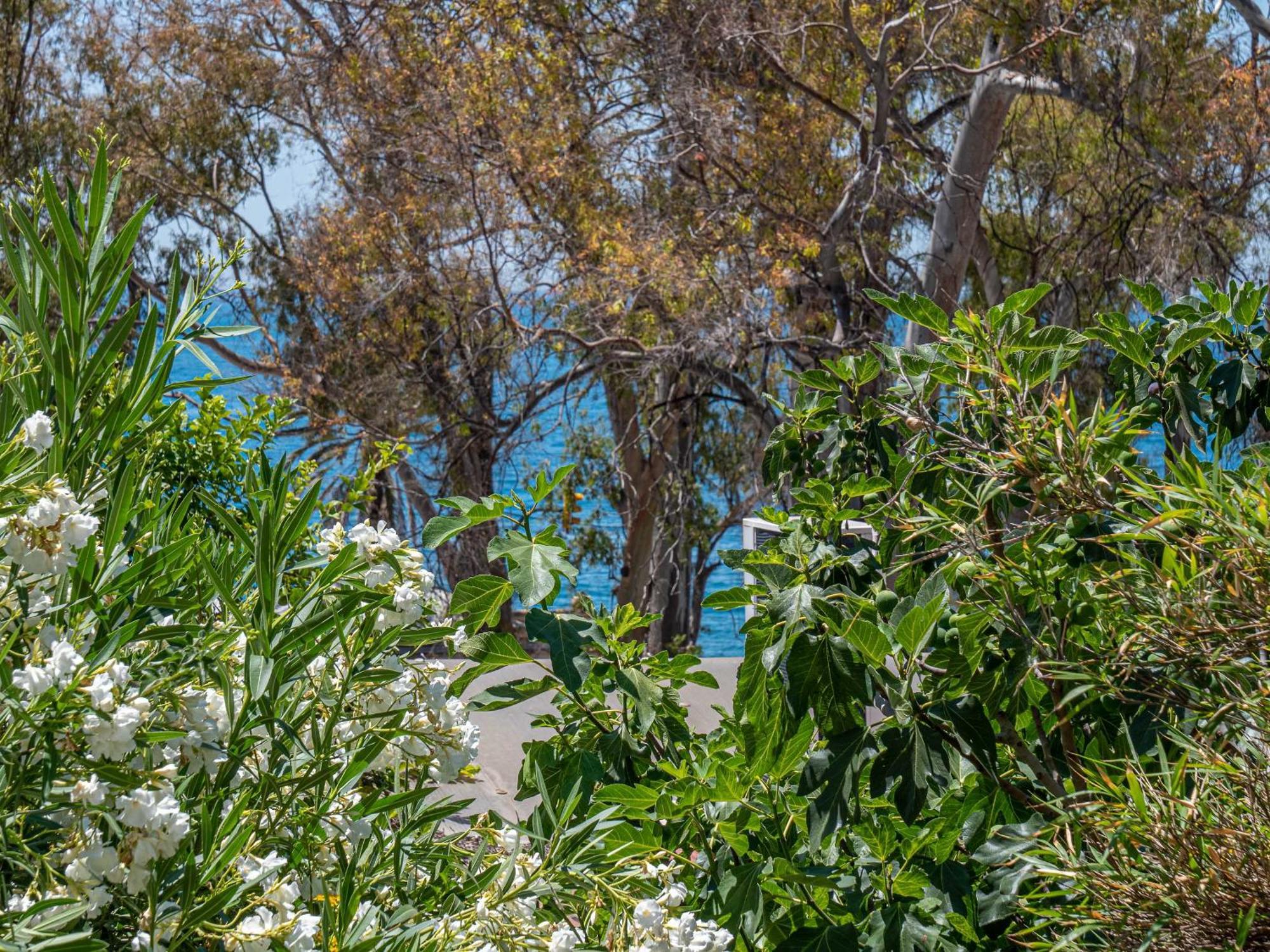 Blue Sea - Houses With Terrace Malaga Exterior photo